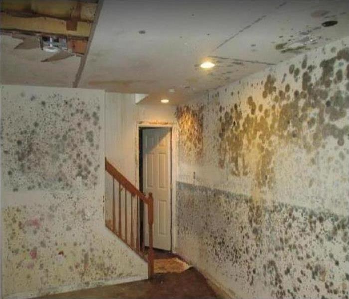 heavy mold growth on walls and ceiling